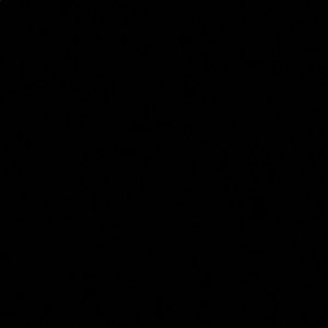 Meet your Posher, Max